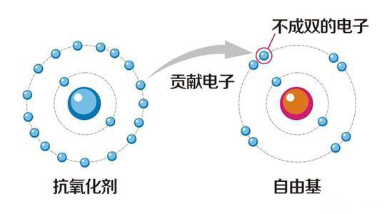 硒元素抗氧化