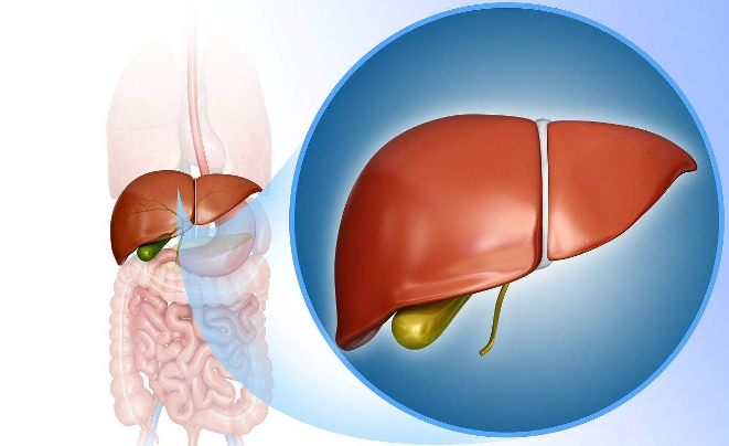 警惕脂肪肝10大危害，日常勤补硒降低发病率